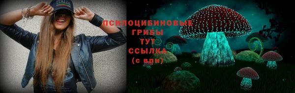 гидра Абинск