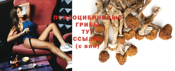 гидра Абинск