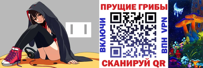 Галлюциногенные грибы Psilocybe  Пойковский 